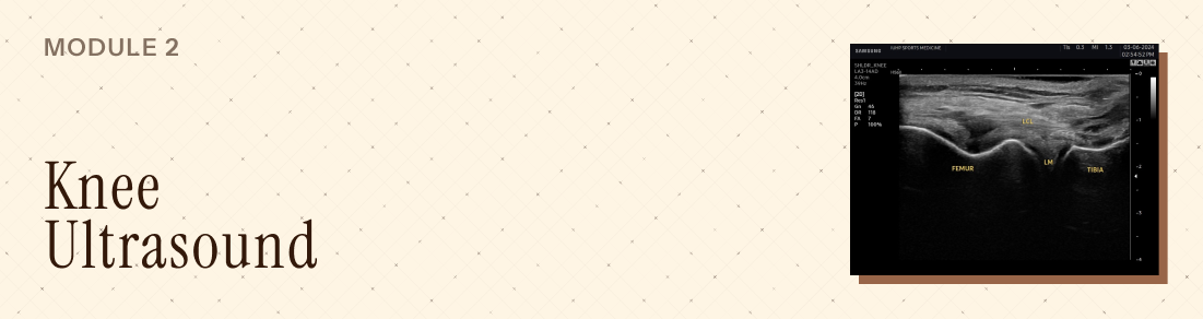 Mod 2 - Knee Ultrasound - Advanced MSK Ultrasound Banner